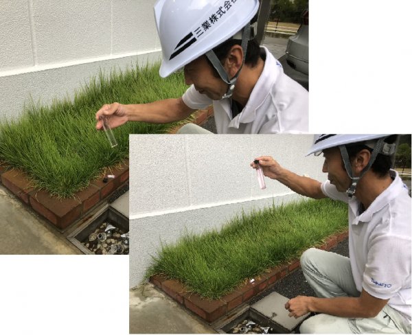 水質測定